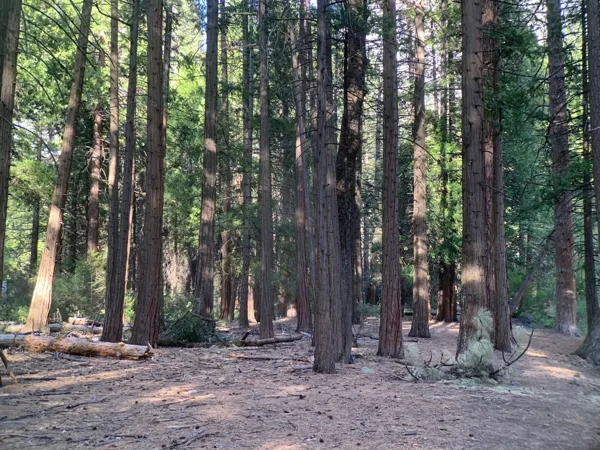 Yosemite National Park photo 83