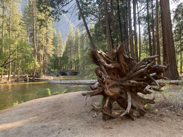 Yosemite National Park photo 84