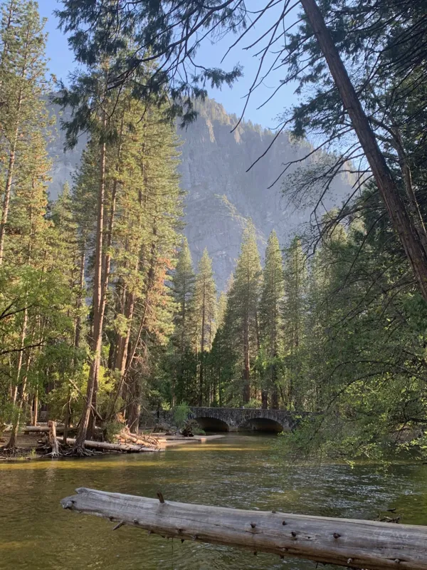 Yosemite National Park photo 85