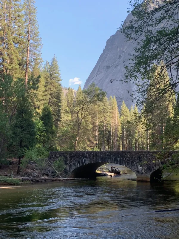 Yosemite National Park photo 88