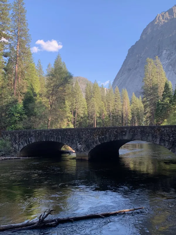 Yosemite National Park photo 89