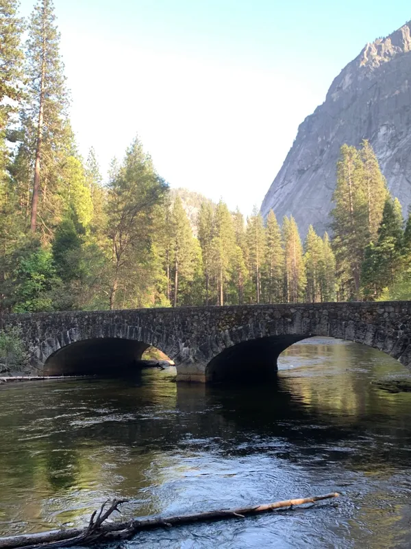 Yosemite National Park photo 90