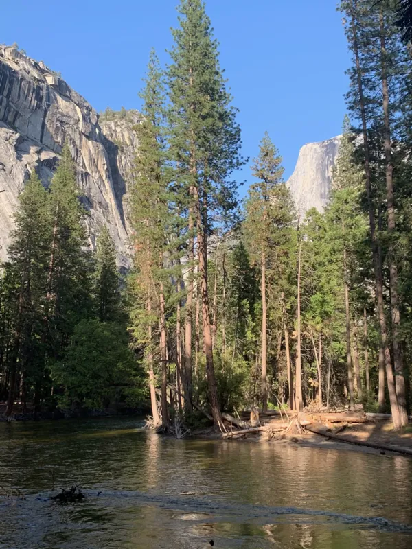 Yosemite National Park photo 92
