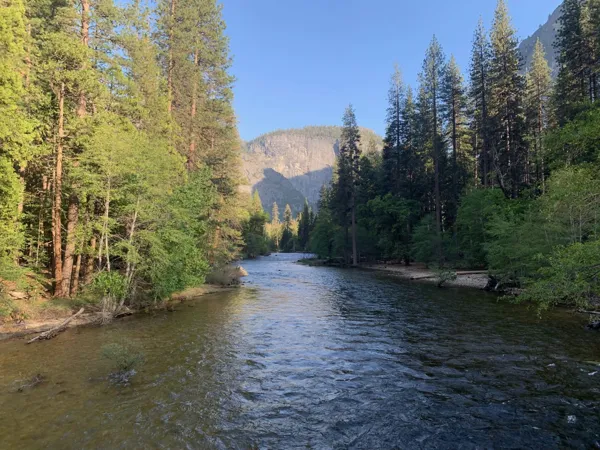 Yosemite National Park photo 109