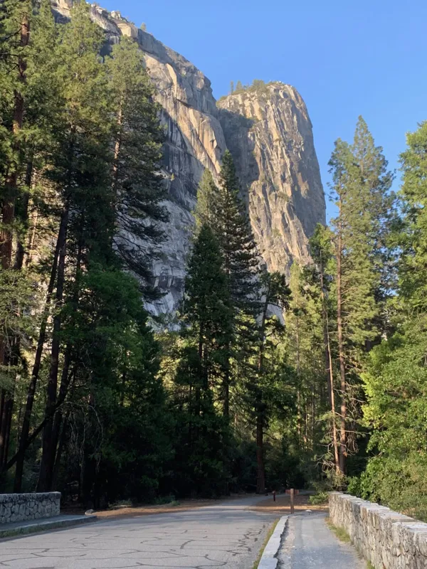 Yosemite National Park photo 110
