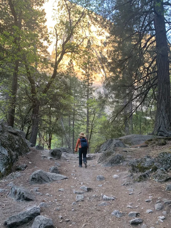 Yosemite National Park photo 115