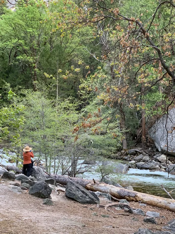Yosemite National Park photo 126