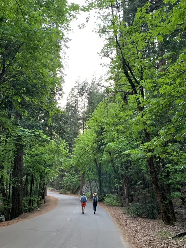 Yosemite National Park photo 127