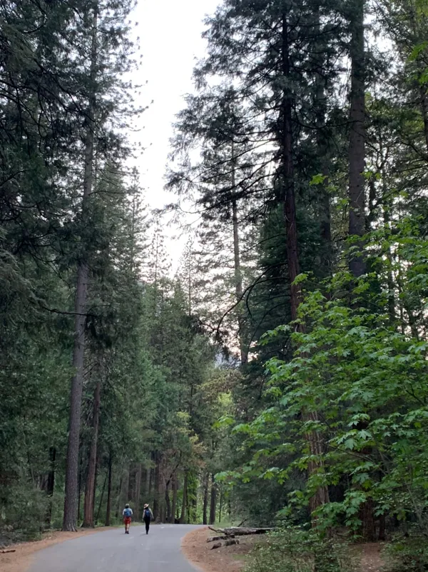 Yosemite National Park photo 128