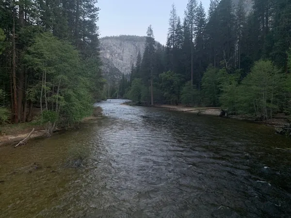 Yosemite National Park photo 137
