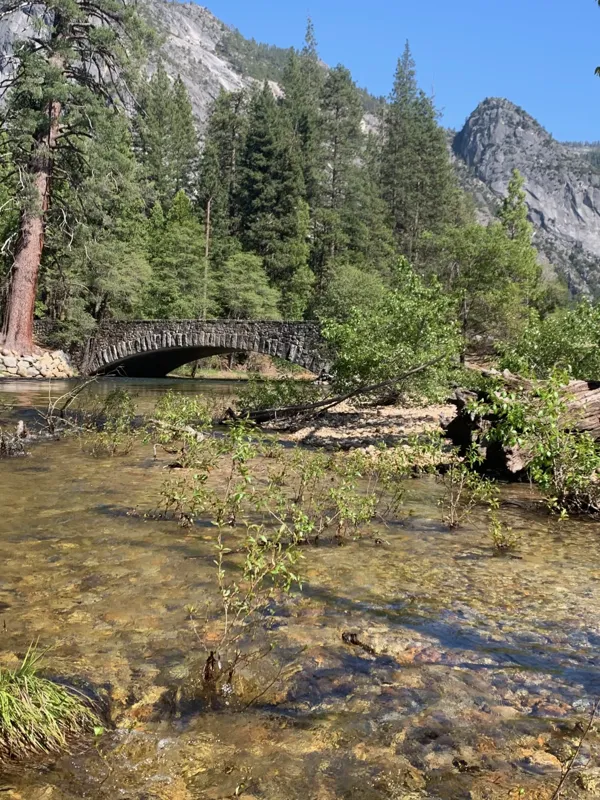 Yosemite National Park photo 145