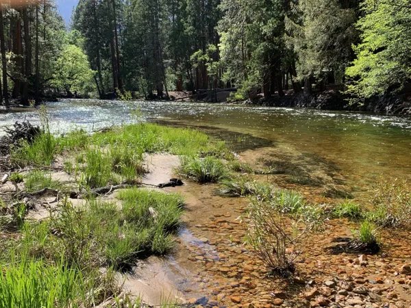 Yosemite National Park photo 147