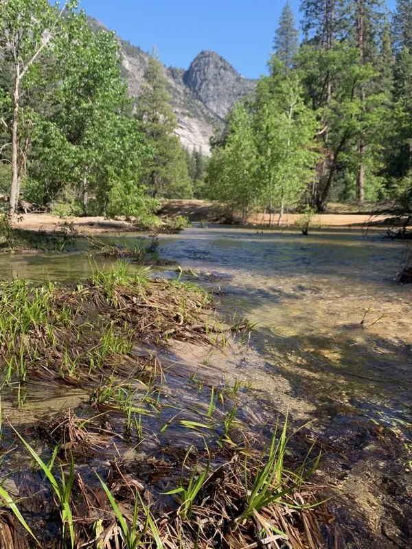 Yosemite National Park photo 148