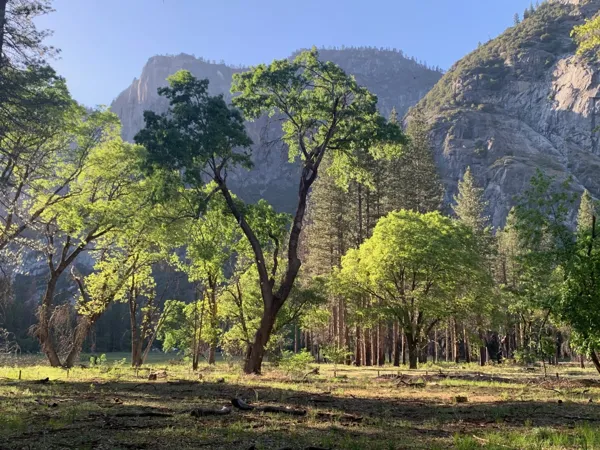 Yosemite National Park photo 167