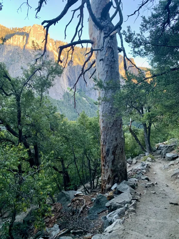 Yosemite National Park photo 173
