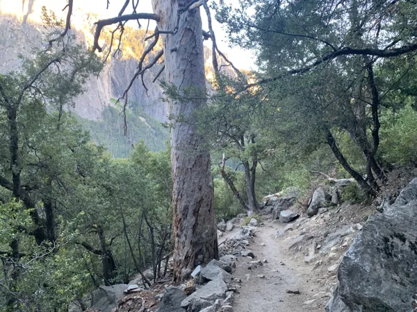 Yosemite National Park photo 174