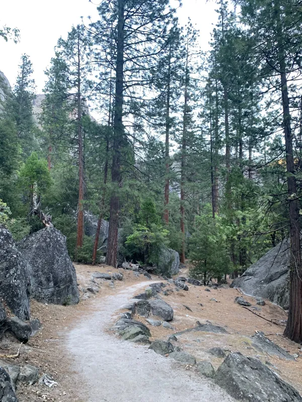 Yosemite National Park photo 175