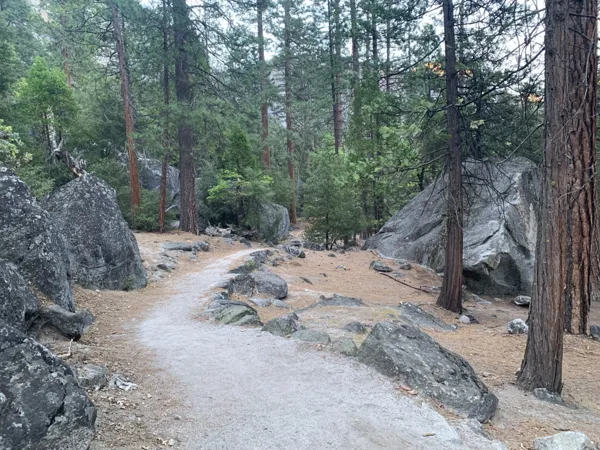 Yosemite National Park photo 176