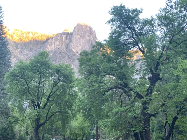 Yosemite National Park photo 178