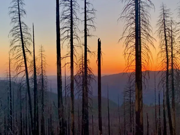 Yosemite National Park photo 180