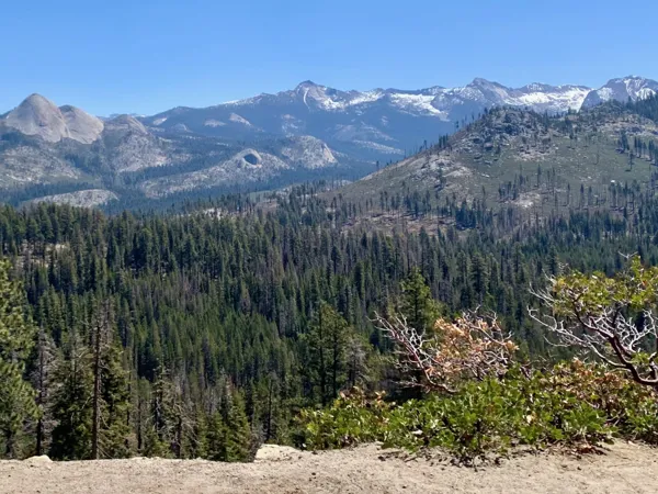 Yosemite National Park photo 198