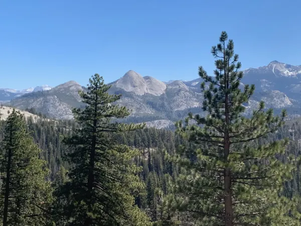 Yosemite National Park photo 199