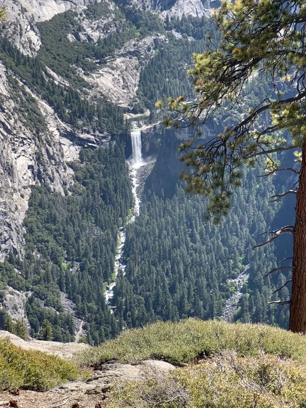 Yosemite National Park photo 203