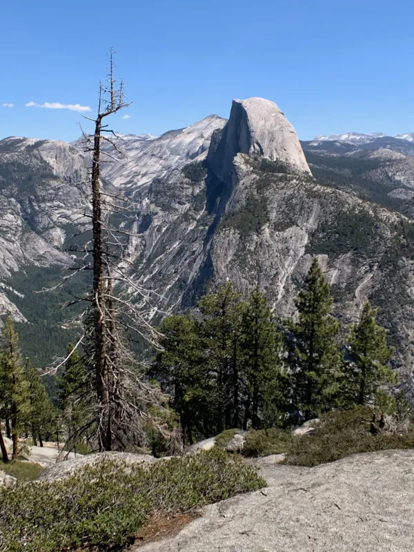 Yosemite National Park photo 243