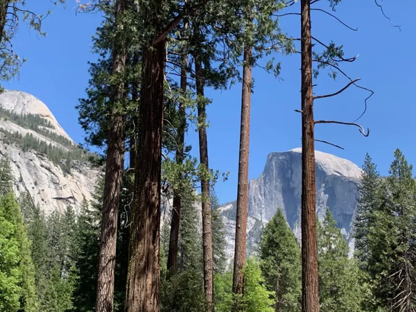 Yosemite National Park photo 260