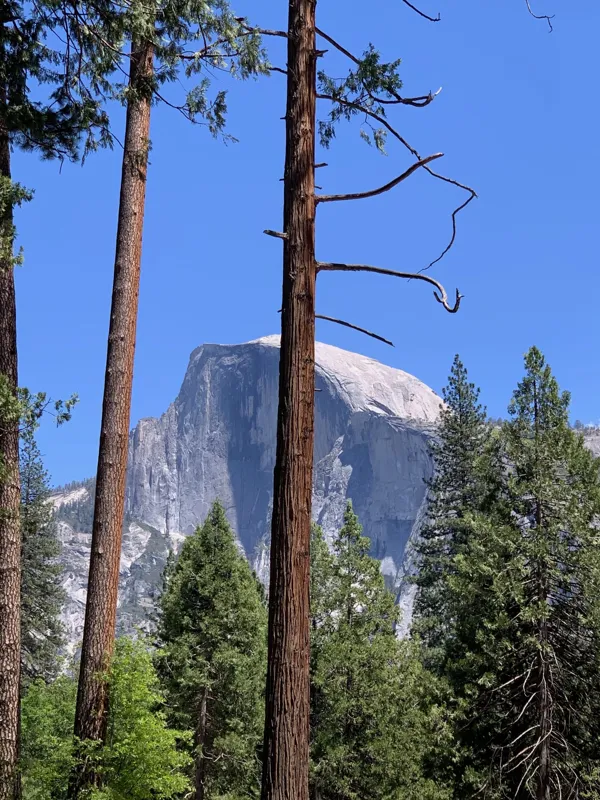 Yosemite National Park photo 261