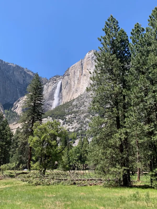 Yosemite National Park photo 264