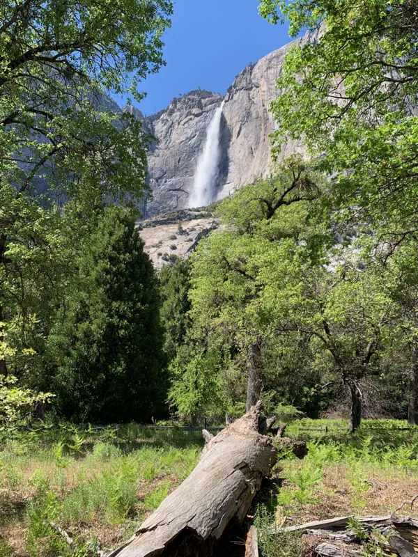 Yosemite National Park photo 268