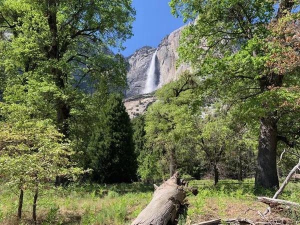 Yosemite National Park photo 269