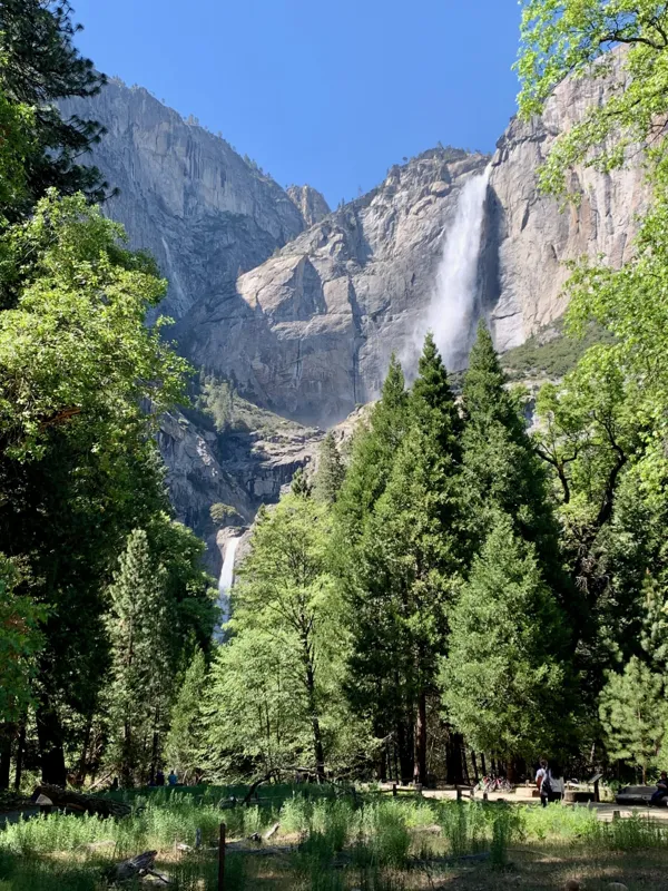 Yosemite National Park photo 270