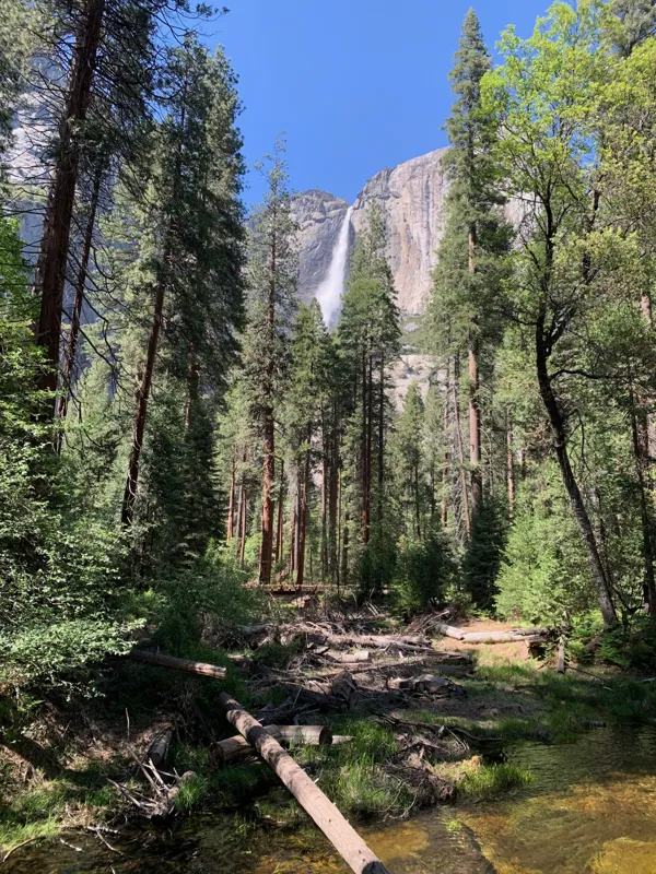 Yosemite National Park photo 271