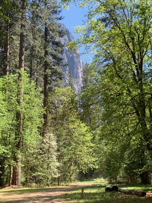 Yosemite National Park photo 286