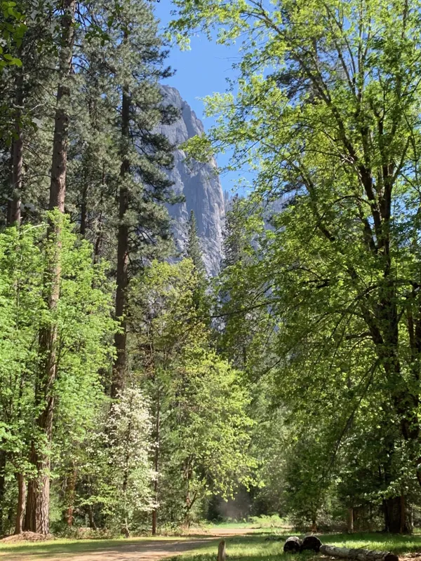 Yosemite National Park photo 287
