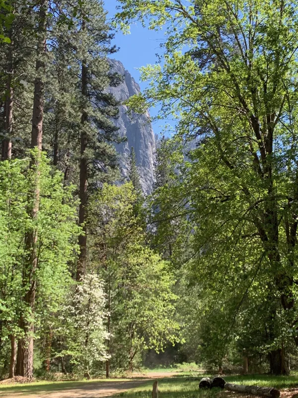 Yosemite National Park photo 288