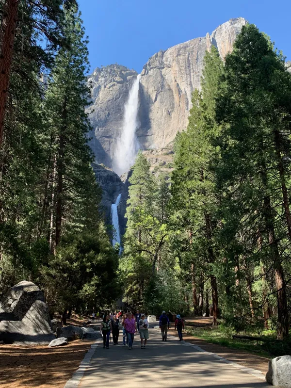 Yosemite National Park photo 306
