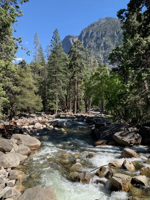 Yosemite National Park photo 311
