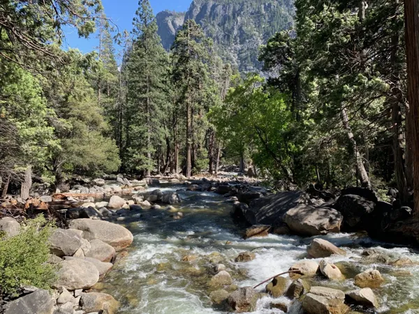 Yosemite National Park photo 312