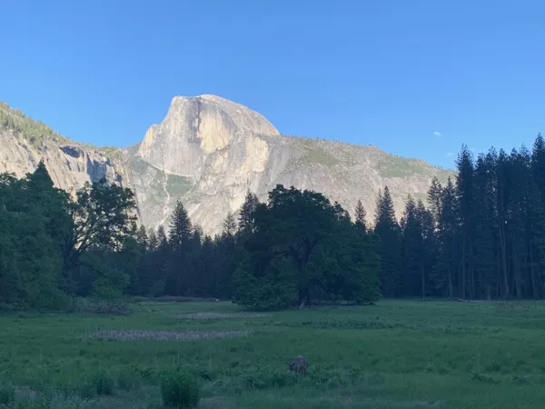 Yosemite National Park photo 359