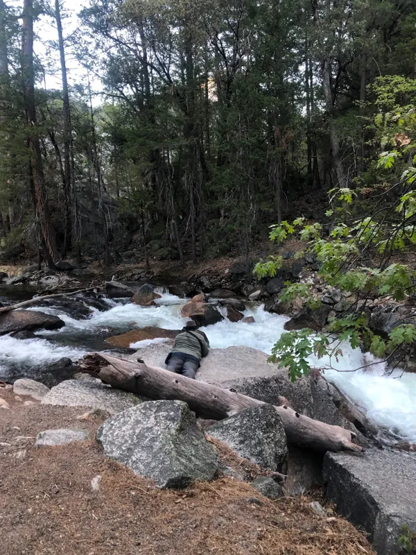 Yosemite National Park photo 367